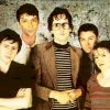 Pulp