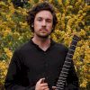 Plini