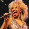 Tina Turner The Musical