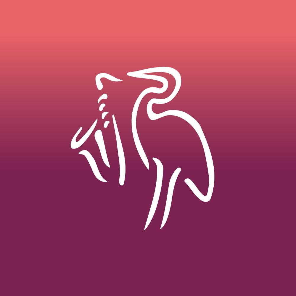 Festi Jazz international de Rimouski 2016 Festi Jazz international de Rimouski 2016