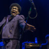 Charles Bradley & His Extraordinaires - photo par Greg Matthews