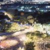 Vue aérienne de la foule amassée à la Place de l'Assemblée nationale en 1998.