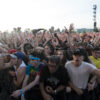 RBC Bluesfest - photo par Greg Matthews