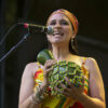 SoulJazz Orchestra - photo par Greg Matthews