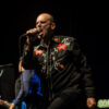 Screeching Weasel, photo par Eliott Garn