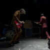The Sadies - Photo par GjM Photography