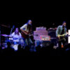 The Wooden Sky - Photo par GjM Photography