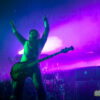Mastodon, photo par Pierre Bourgault