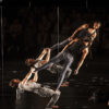 Le spectacle <a href='/artiste/warm/' >Warm</a> du Festival complètement cirque.